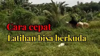 CARA CEPAT BISA MENUNGGANG KUDA