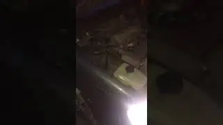 Завёл, но это ещё не все. Ранее: Забрал 