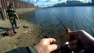 Ящик для мормо и не только(баккан)    east shark     затестили)