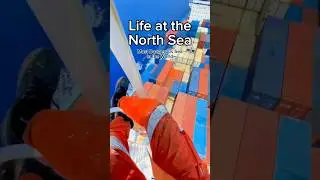 Life at the most dangerous sea 