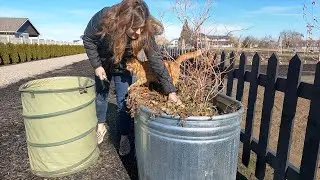 Pruning Blueberries & Starting Herb Seeds! 🫐🌿🪴 // Garden Answer