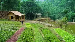 Building a life in a wooden house, taking care of pigs - Cleaning the house