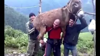 Даги силачи )))