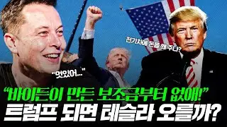 트럼프 당선되면 테슬라는 어떻게 될까?