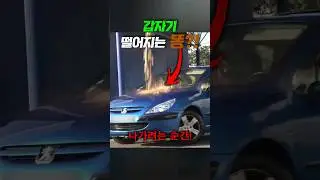 갑자기 쏟아지는 똥.. 상상도 못할 범인의 정체..