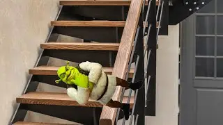 ШОК!!! ШРЕК УПАЛ С ЛЕСТНИЦЫ!!!