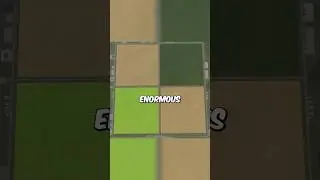 This is the BIGGEST field in 