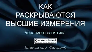 [фрагмент занятия QSchool] КАК РАСКРЫВАЕТСЯ НОВОЕ ИЗМЕРЕНИЕ | Александр Салогуб