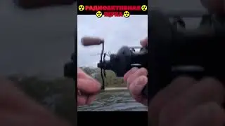 ☢️РАДИОАКТИВНАЯ ЩУКА☢️ #fishing  #рыбалка #bigfish #shorts