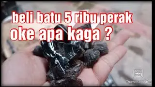 Beli batu 5 ribu perak...oke kaganya 😅😅😅