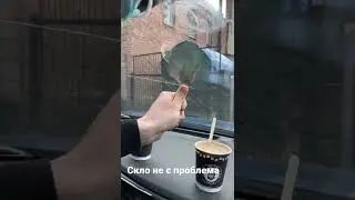 Попав камінчик!