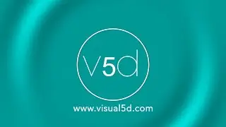 visual 5d: Construction and Site logistic animations, 2020 Showreel (US) www.visual5d.com