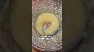 ПОЗДНИЙ ПРИКОРМ 