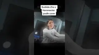 Bushido Zho x Heronwoter - Podik cover