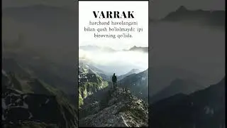 Varrak... #manolisozlar #aqlligaplar #manoligaplar #mybloopers #shorts #short #sevgi #aql
