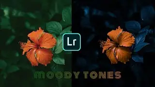 Lightroom Dark BLUE TONE leaf photo editing | Flower photo editing - AVS Pictures