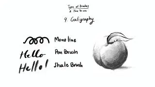 Procreate Default Brushes: My Best Procreate Brushes for Drawing 🖌️✨