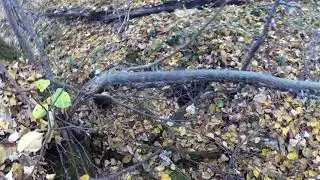 Мастер класс по поиску вертикальных пещер