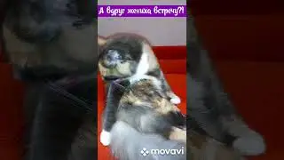 Красоточка наша!!!