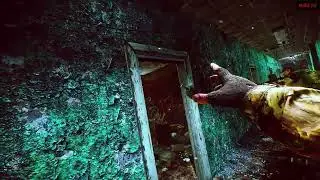 Как дикие офис штурмовали EFT