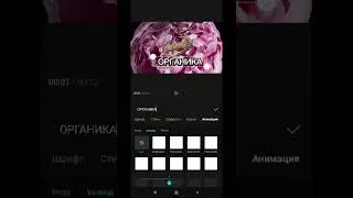Как делать ввод и вывод картинок и текста в CapCut. Один из вариантов