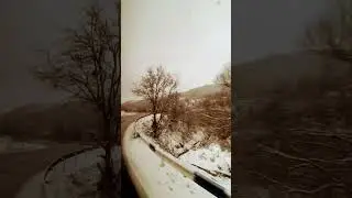 Beautiful snow and trees