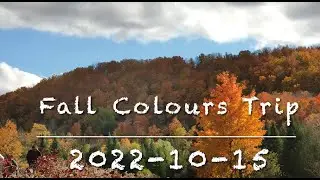 2022 Fall Colour Trip, photography group - Ontario Canada