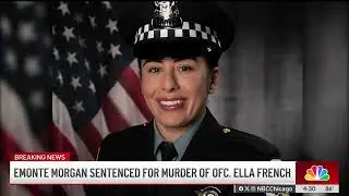 Man convicted of killing CPD officer Ella French sentenced to prison