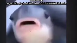 fish