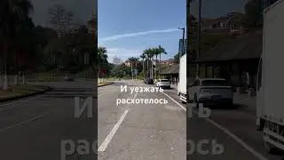 Остаемся зимовать.