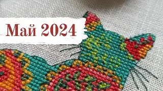ДимоМАЙ, готовая работа, старты и эпопея с организацией процессов