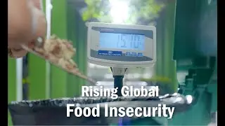 Food Security at Brandix