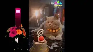 「絶対に笑う」あり得ないことをする犬★おもしろい犬のハプニング, 失敗画像集 #33