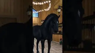 ой.. #ssoedits #starstable #sso #starstableonline #лошади #марат #словопацана #пальто