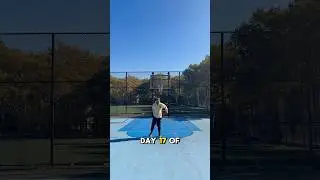 Day 17 Of Making A Trickshot Until I Get 100,000 Subscribers ⛹🏽‍♂️ #basketball #trickshots #nyc