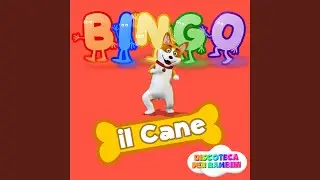 Bingo il Cane