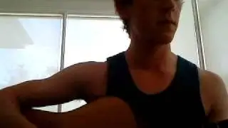Blink 182 - Not Now (acoustic cover)