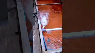 Kolam sistem ras