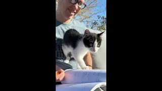 Welcome to the Farm, Little Kitty