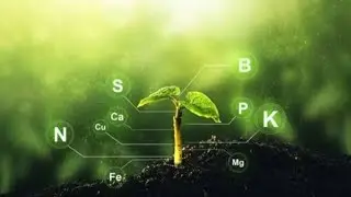 Plant Nutrition| Neet| Csir Net| Set| Assistant Professor| UPPSC| MPPSC| HPSC| RPSC| Other Exams