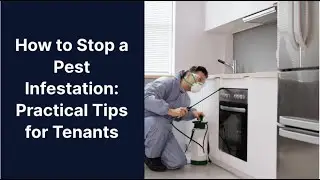 How to Stop a Pest Infestation in Rental Homes | Practical Tips for Tenants 🐜🪳🐝🏠