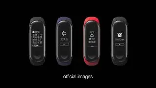 Mi Band 3 - Official Features, Price & Design