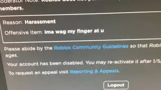 dumbest reason to get banned #roblox