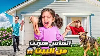 نسينا الباب مفتوح وألماس هربت من البيت / دهب صارت تدور عليها بالشوارع😭