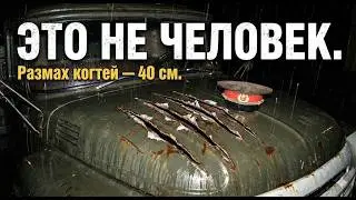 НАМ ВРАЛИ 40 ЛЕТ! Какую страшную тайну трассы М7 скрывало КГБ в 1976 году?