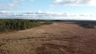 Сестрорецкое болото, заказник.