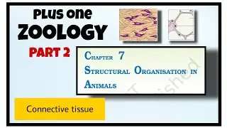 Structural organization in animals +1 Zoology Improvement class
