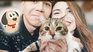 Kedi Bakımı Önerileri | Akif ve İlke