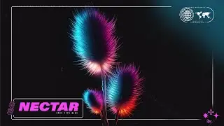 K-pop type beat “Nectar