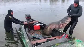 ТОП 5! Подводная охота. Маточное поголовье?